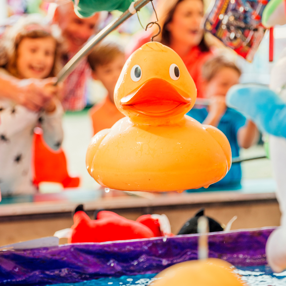 Culcheth Arms - Funday Culcheth Arms Funday